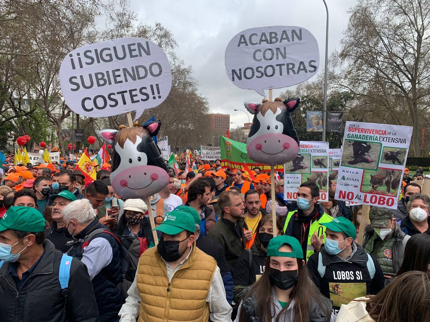 Fotos Decenas De Miles De Personas Se Manifiestan En Madrid Para